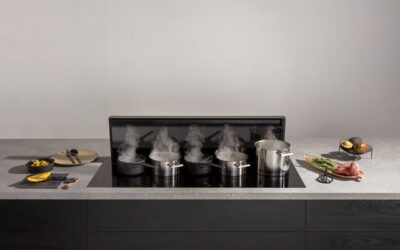 Plaque Induction- Novy avec Hotte Panorama